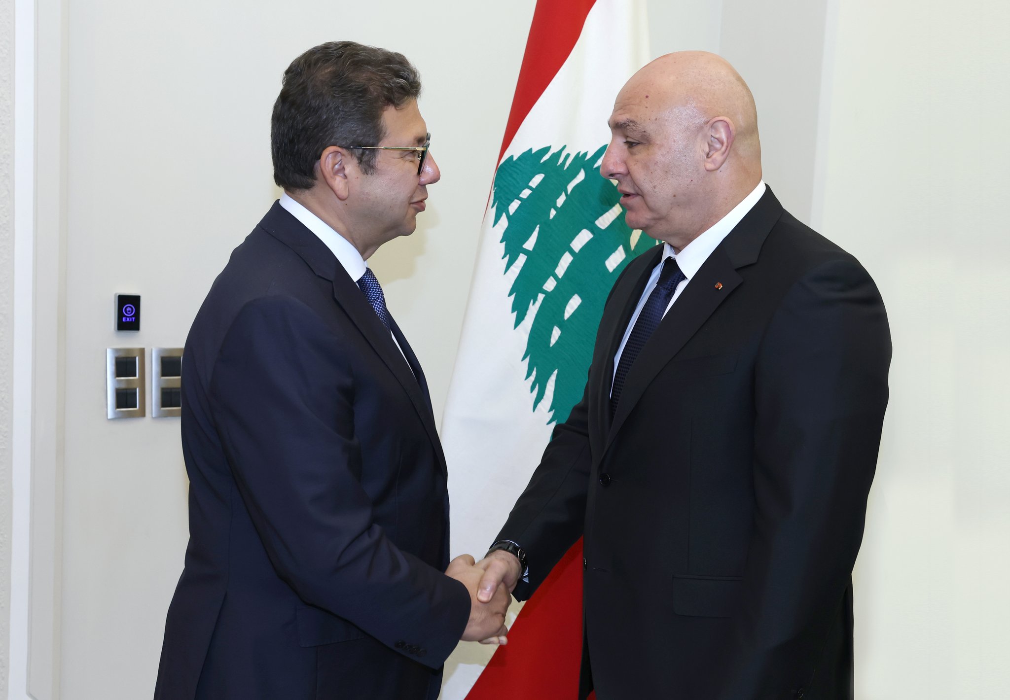 رئيس الجمهورية استقبل نائب المبعوث الأمريكي ومدير المخابرات المصرية