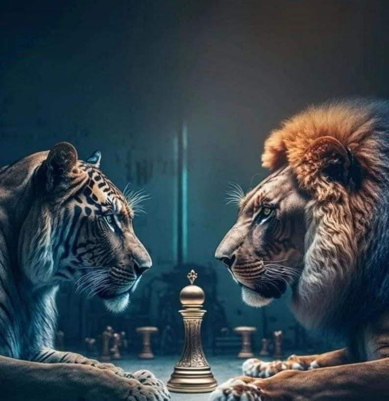 النصر والغلبة… من ينتصر حقاً…