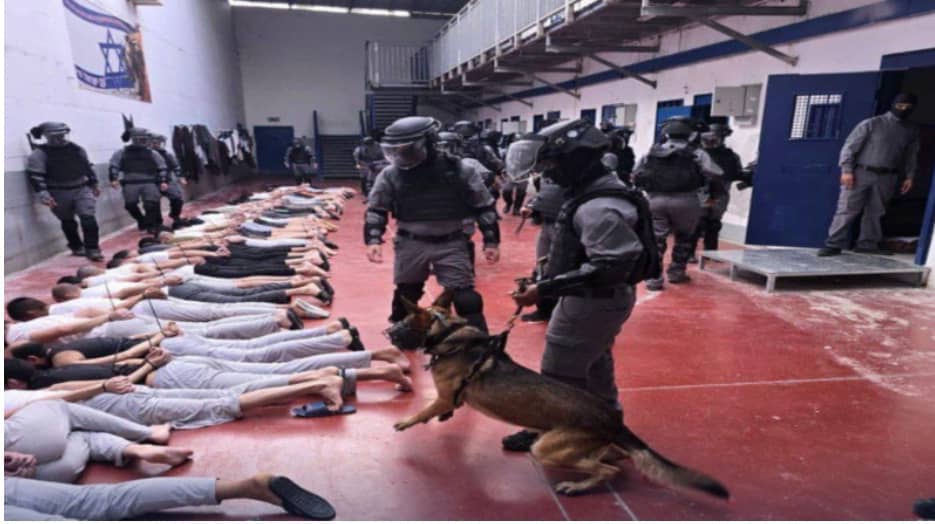 سنا كجك تكتب: السلام على “عاركم” ياعرب!”شفتو”مشاهد الاغتصاب والكلاب البوليسية على أبطال فلسطين ؟ المقال قد يتسبب بقتلي