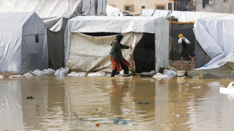 حصاد مائة يوم من وقف إطلاق النار في غزة