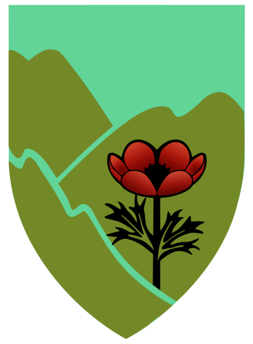 من هي فرقة 91؟وما علاقتها بقوات الوحدة المتعددة الأبعاد في جنوب لبنان؟