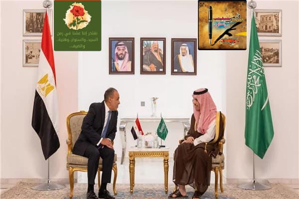 ماذا قالا وزيرا خارجية مصر والسعودية ؟