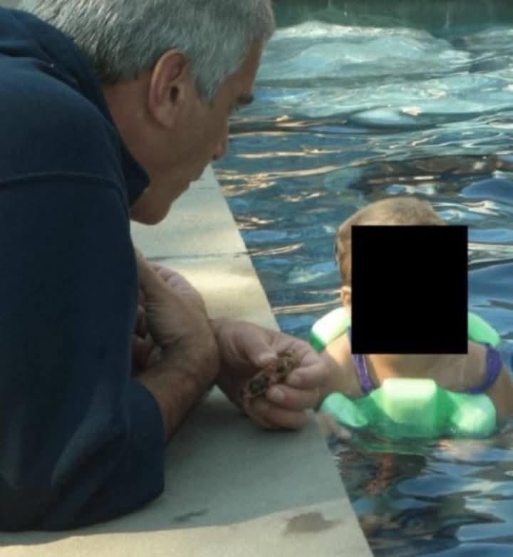 “‏الأدرينوكروم”السر القاتل للأطفال بجزيرة المنحرف ابيستين الشيطانية!وايهودا براك يتلقى الأموال!