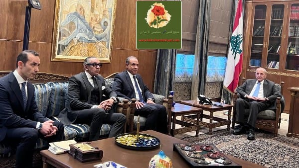 الرئيس بري يستعرض التطورات مع وزير الخارجية المصري