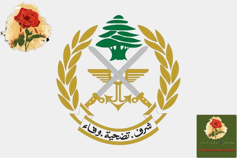 الجيش يفكك 5 قنابل طيران غير منفجرة