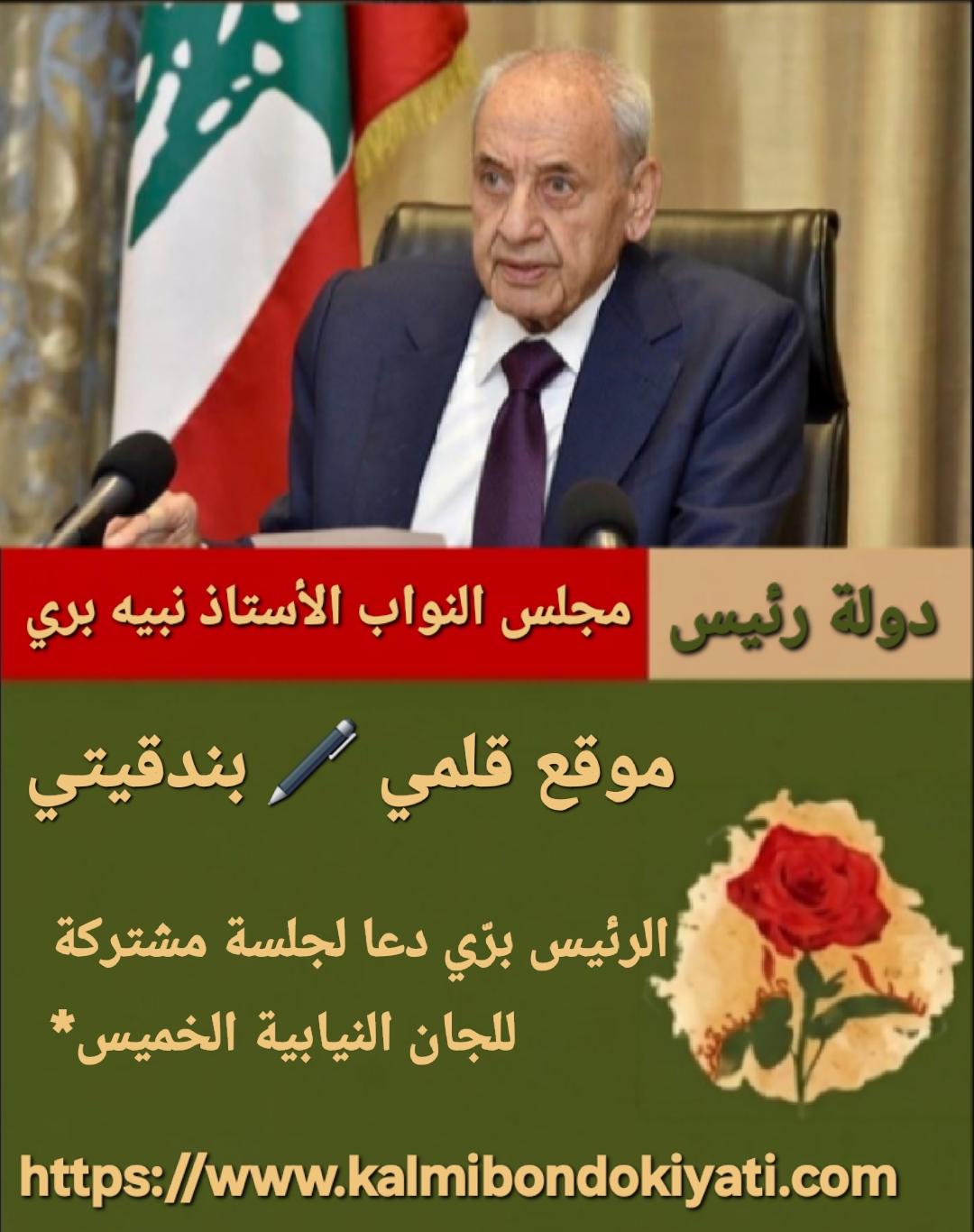 الرئيس برّي دعا لجلسة مشتركة للجان النيابية الخميس