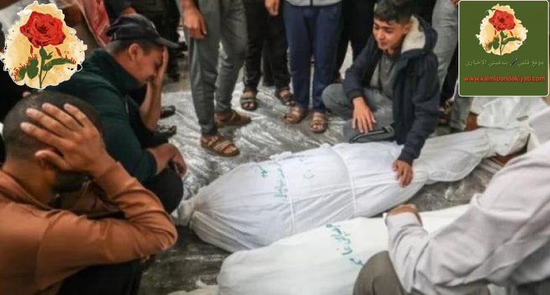 ارتقاء شهداء واصابات بغزة