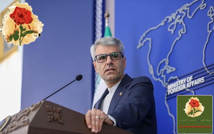 بقائي: سندافع لحماية أمننا ومصالحنا