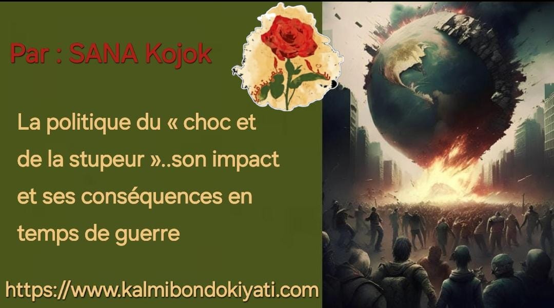 La politique du « choc et de la stupeur »..son impact et  ses conséquences