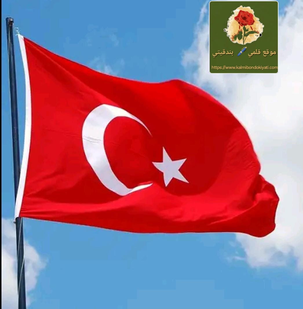 بماذا صرحت الرئاسة التركية حول المحادثات مع ترامب؟