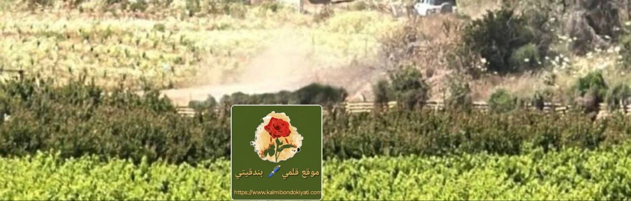 صدمة في الجليل..عملية تسلل فدائية! وصورة من قلب الحدث!