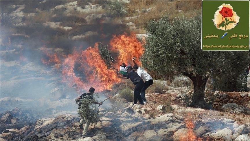 هجوم منظم للمستوطنين على بلدات في الضفة