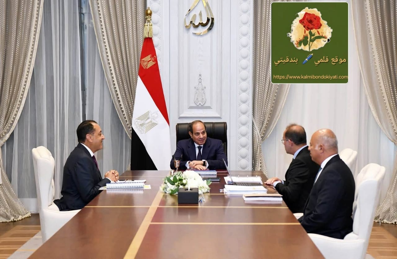 الرئيس السيسي ينظم آلية النفط والشواطئ والعقارات
