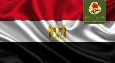 الرقابة المصرية تحسم أمان محطة الضبعة النووية