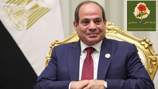 الرئيس السيسي: جاهزون لحماية مصر من أي تهديد