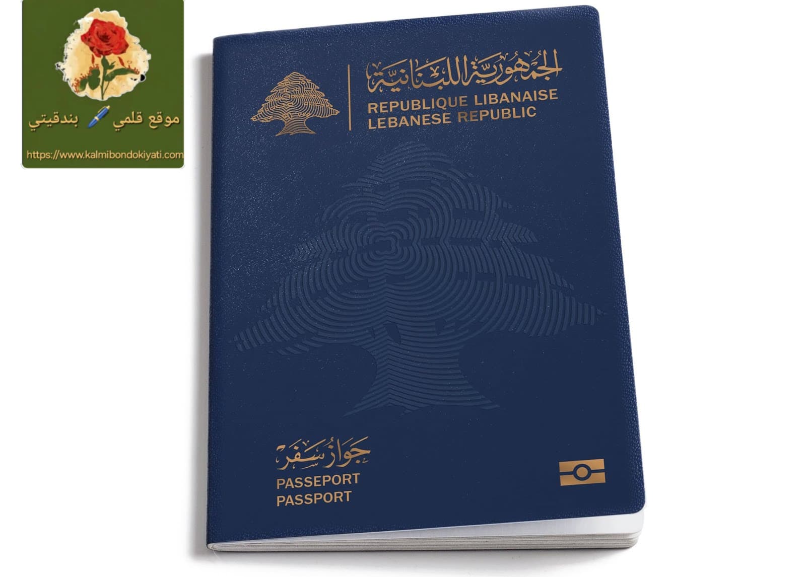 اللواء شقير يفكّ” عقدة” الجوازات من قلب واشنطن!