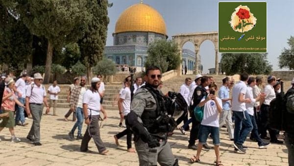الأزهر يدق ناقوس الخطر! إلا القدس